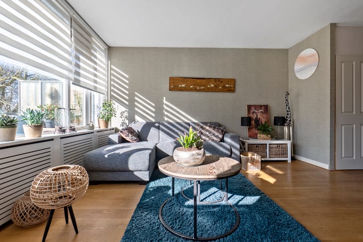 Foto 9 van Vliestroom 355