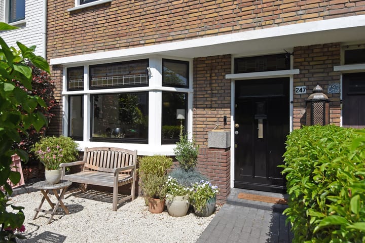 Foto 2 van Tomatenstraat 247