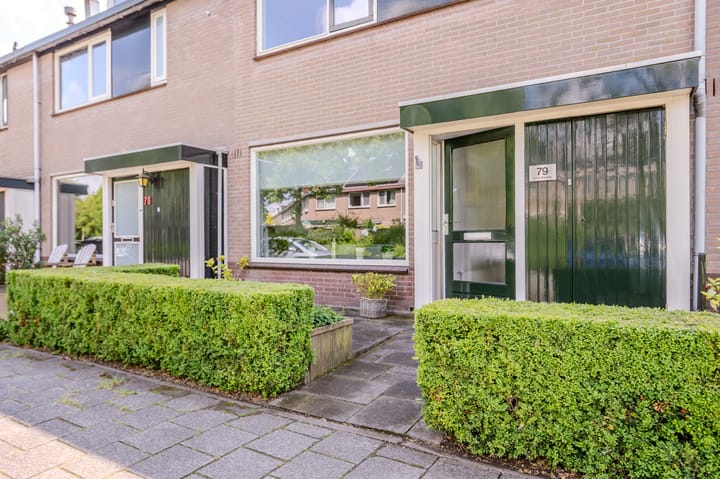 Photo 8 of Galjoen 79