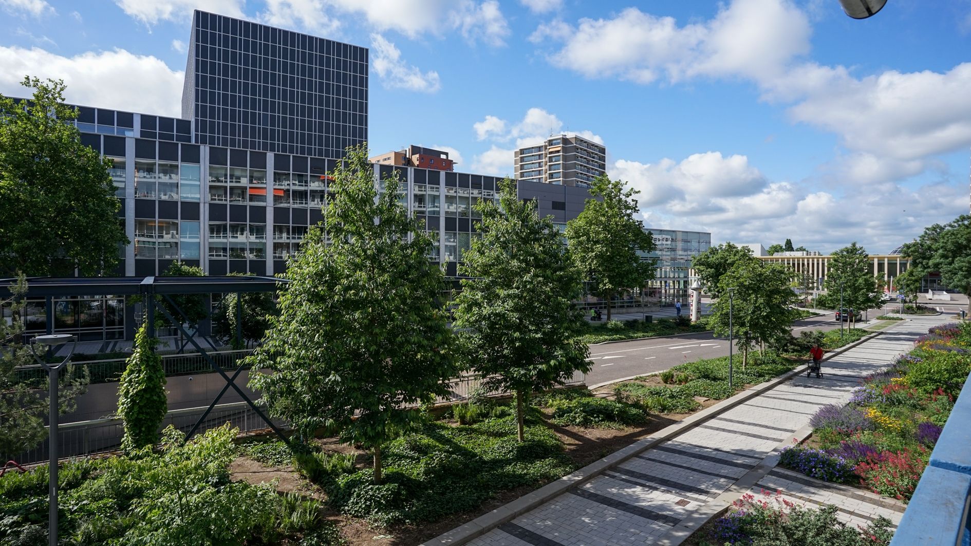 Foto 36 van Muzenlaan 40