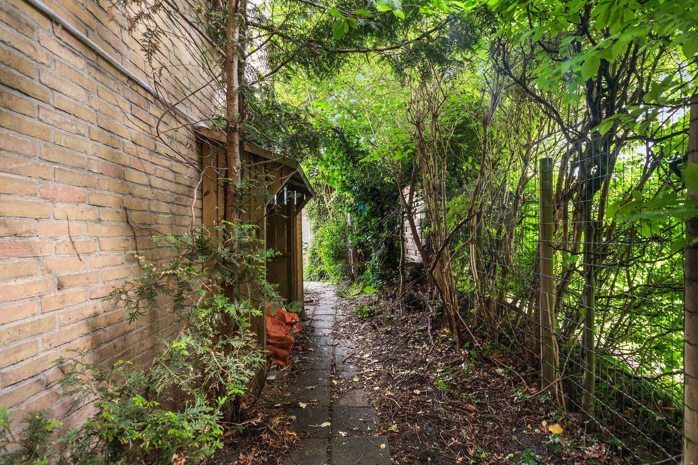 Foto 29 van Begoniastraat 45