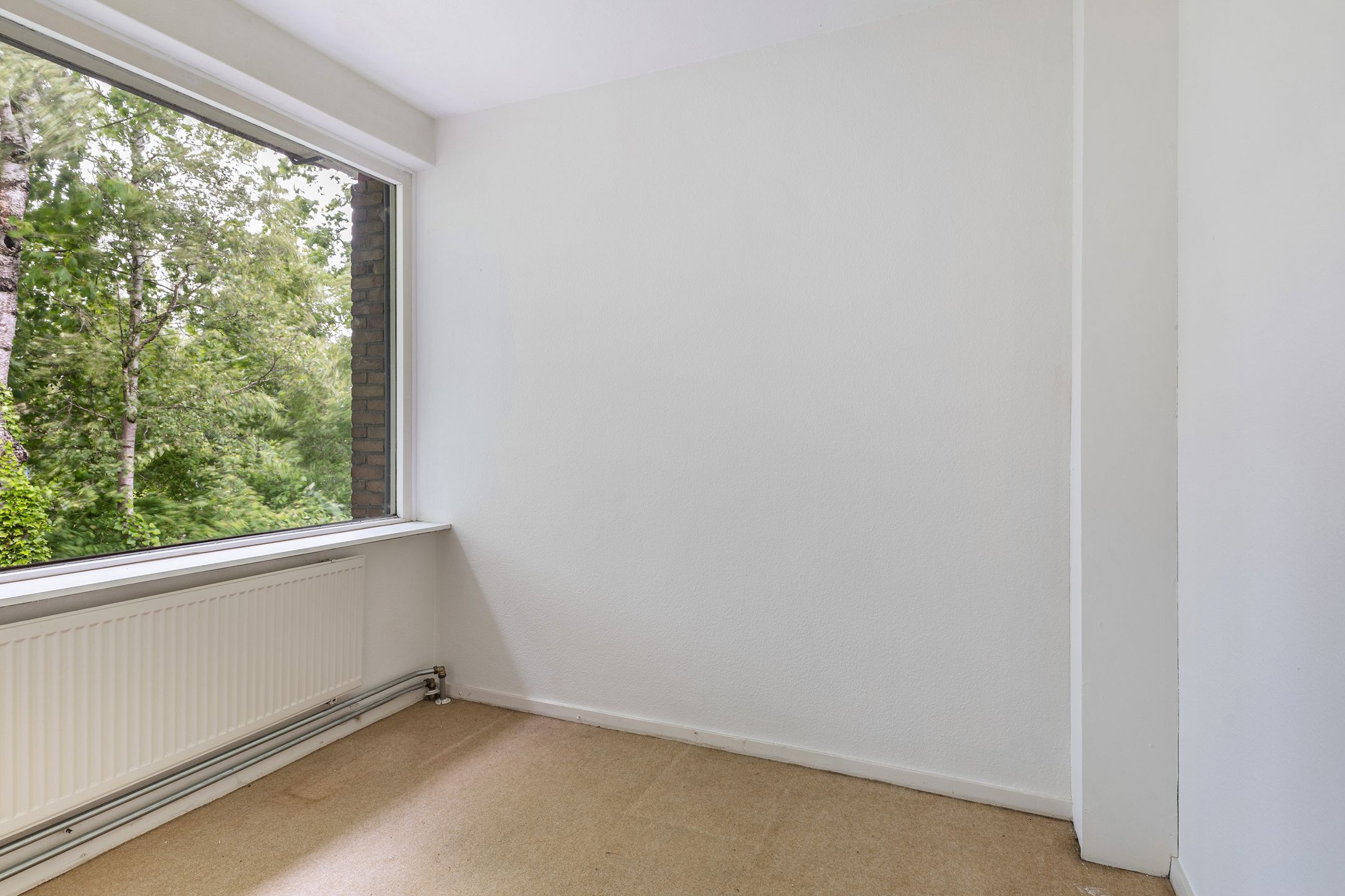 Foto 12 van Begoniastraat 45