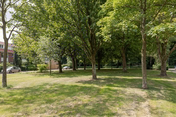 Foto 38 van Frans Halsplantsoen 16