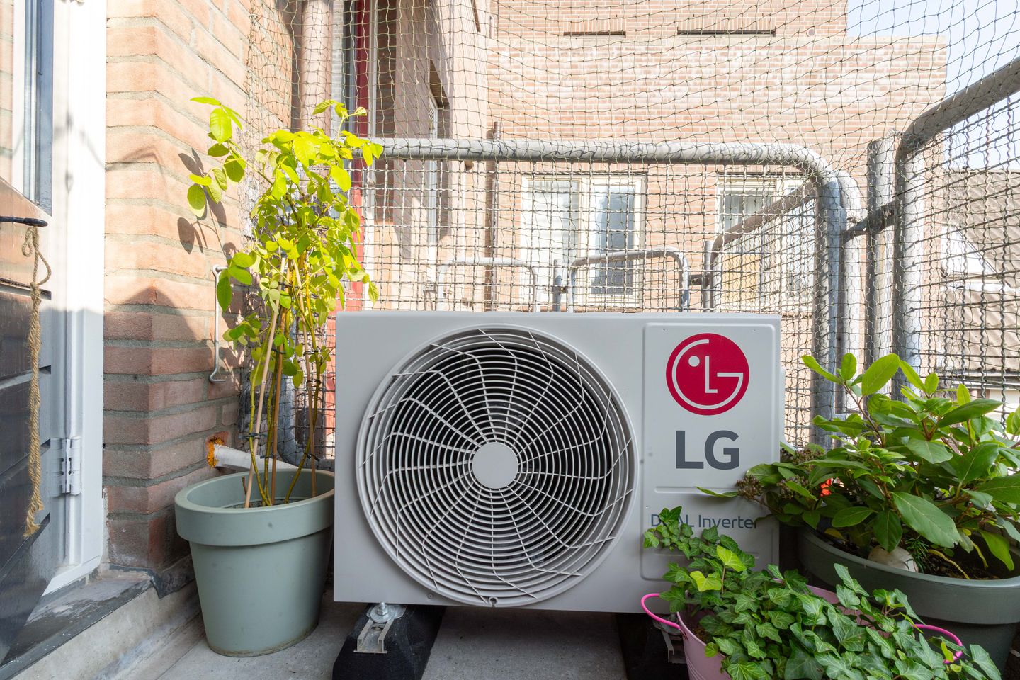 Photo 25 of Maria Koijenhof 5