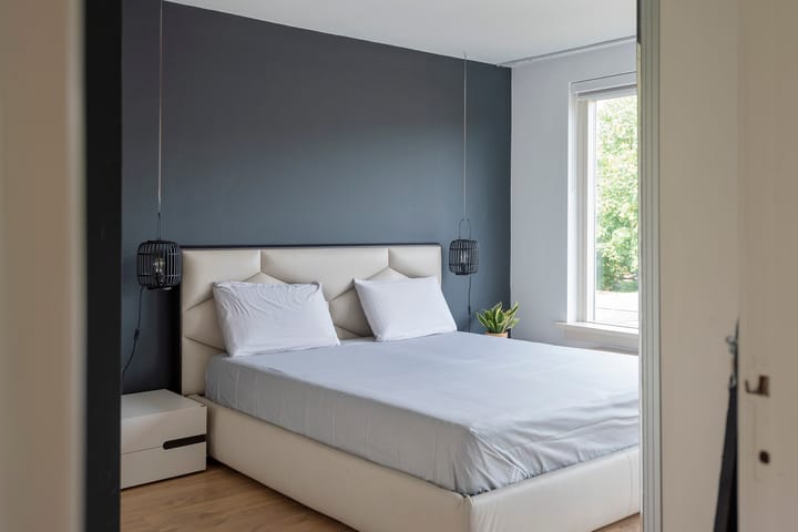 Foto 4 van Witte de Withlaan 26