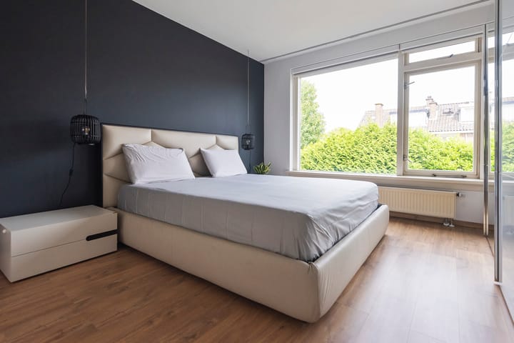 Foto 30 van Witte de Withlaan 26