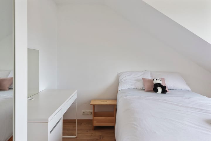 Foto 47 van Witte de Withlaan 26