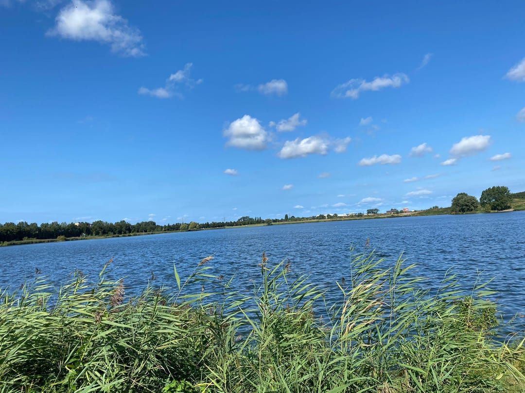 Photo 31 of Rhijngeesterstraatweg 40-H