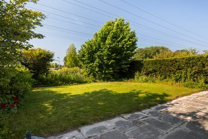 Photo 22 of Wite Finne 1