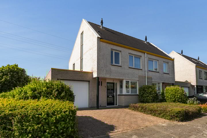 Photo 39 of Wite Finne 1