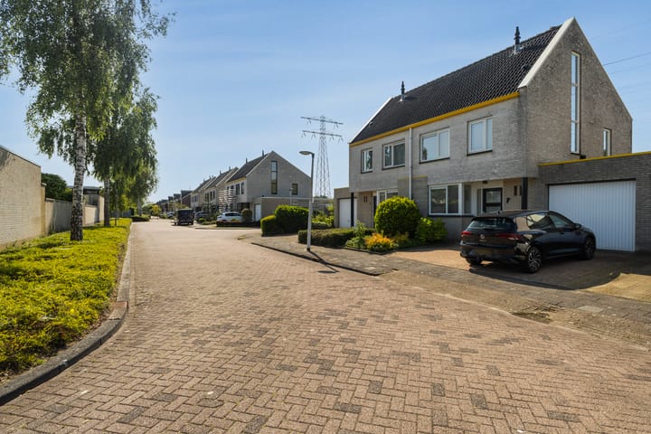 Photo 41 of Wite Finne 1