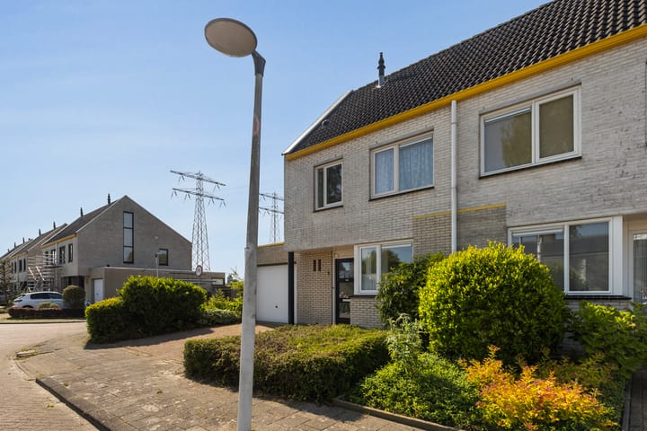 Photo 42 of Wite Finne 1