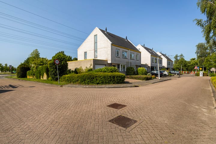 Photo 43 of Wite Finne 1