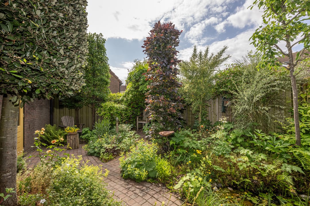 Foto 31 van Melkweg 24