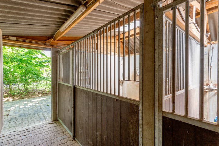 Photo 62 of Leppepaalweg 10