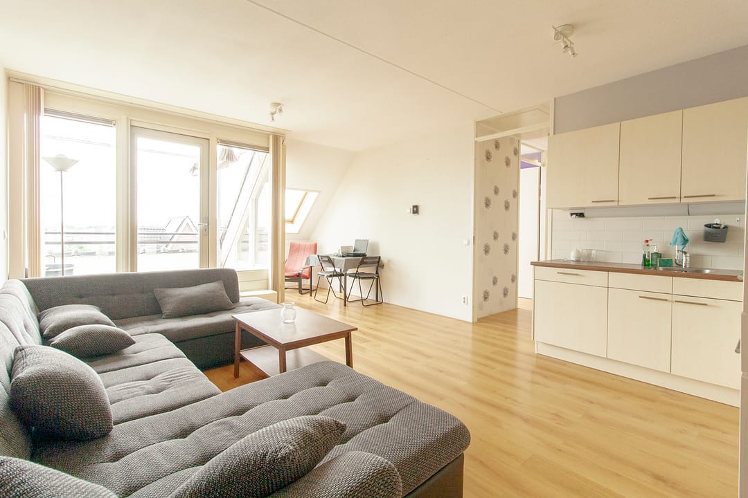 Photo 2 of Ringslang 39