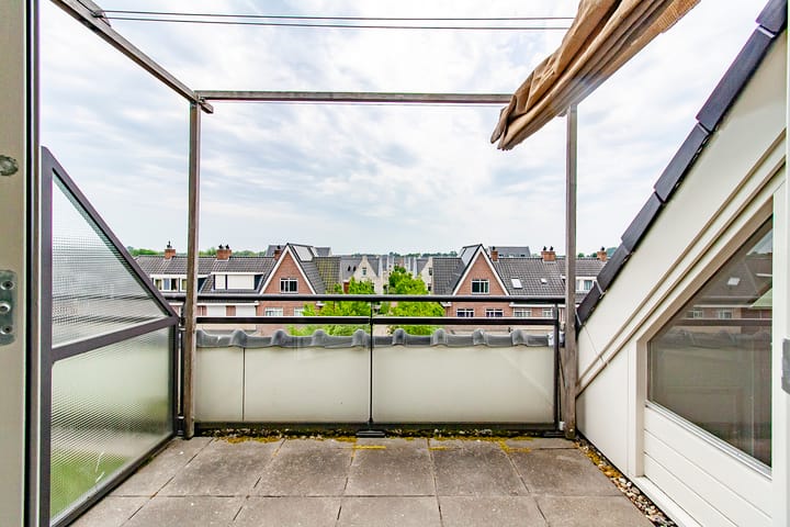 Photo 5 of Ringslang 39