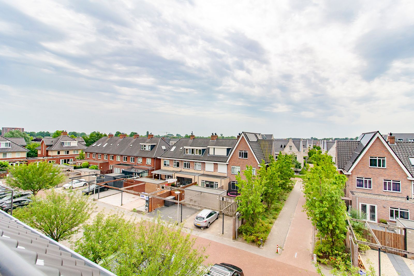 Photo 6 of Ringslang 39