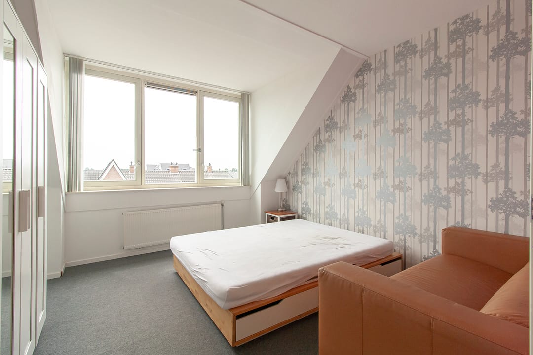 Photo 7 of Ringslang 39