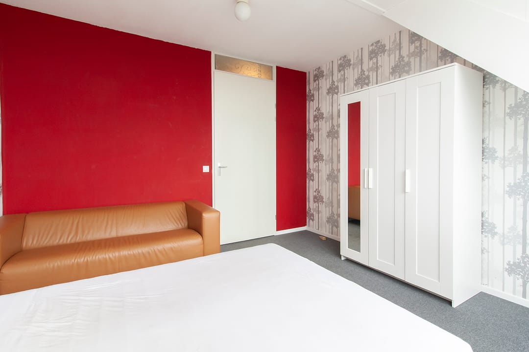 Photo 8 of Ringslang 39