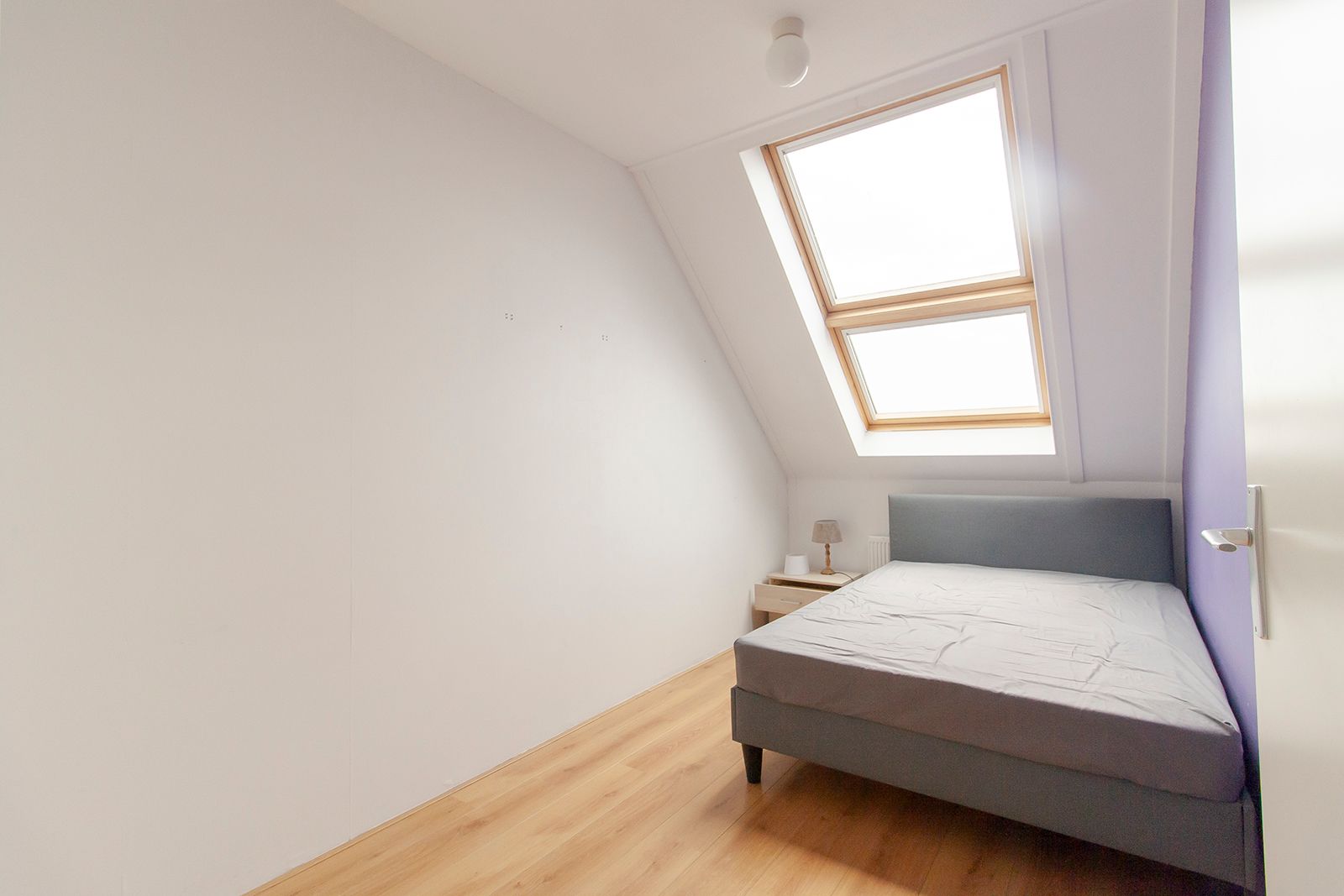 Photo 9 of Ringslang 39