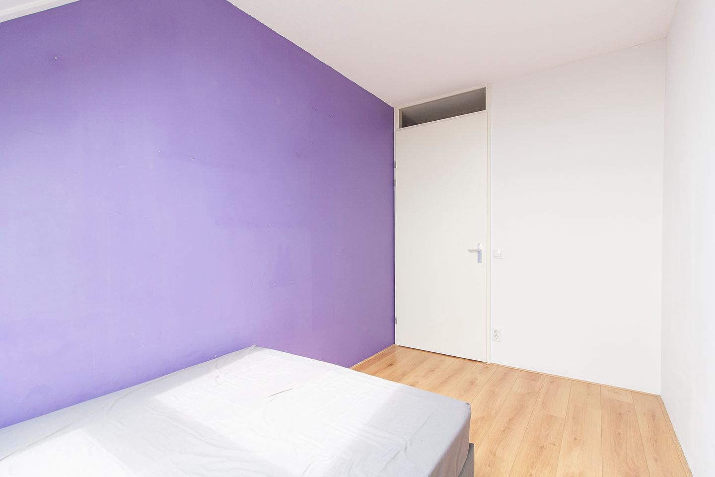 Photo 10 of Ringslang 39