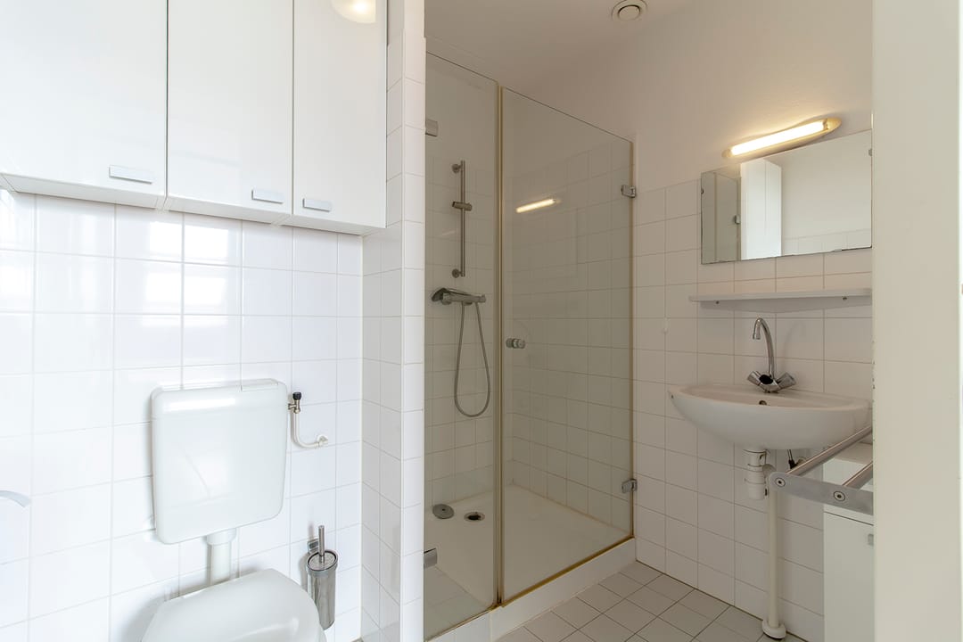 Photo 11 of Ringslang 39