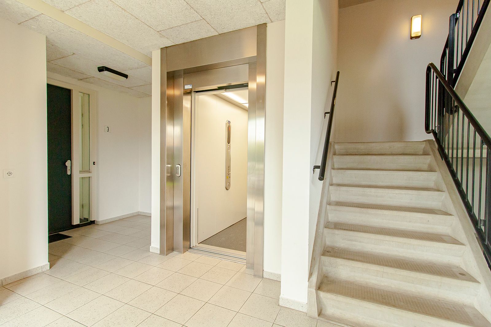 Photo 12 of Ringslang 39