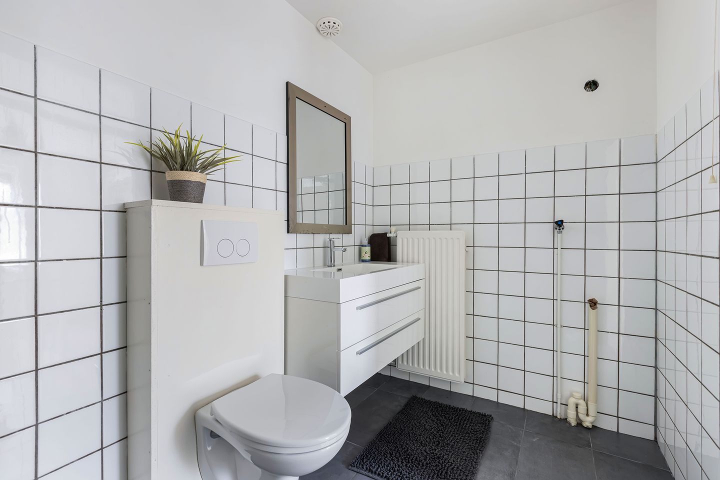 Foto 29 van De Terp 12