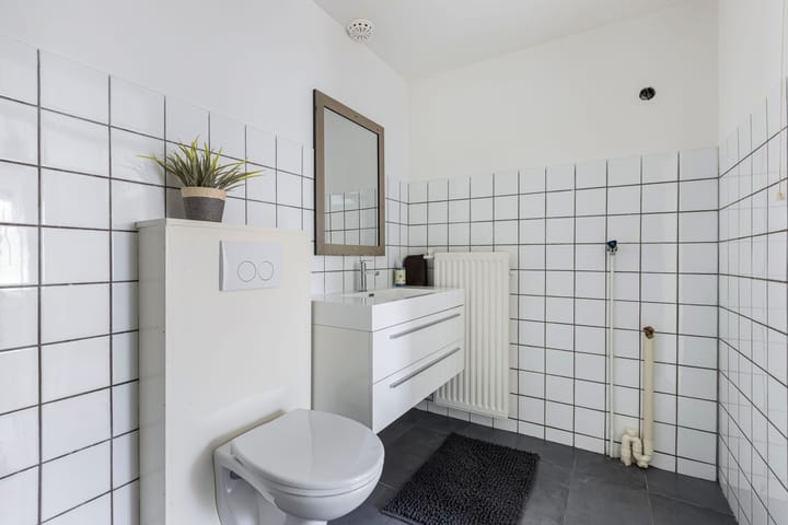 Foto 29 van De Terp 12