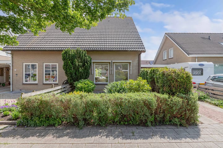 Foto 41 van De Terp 12