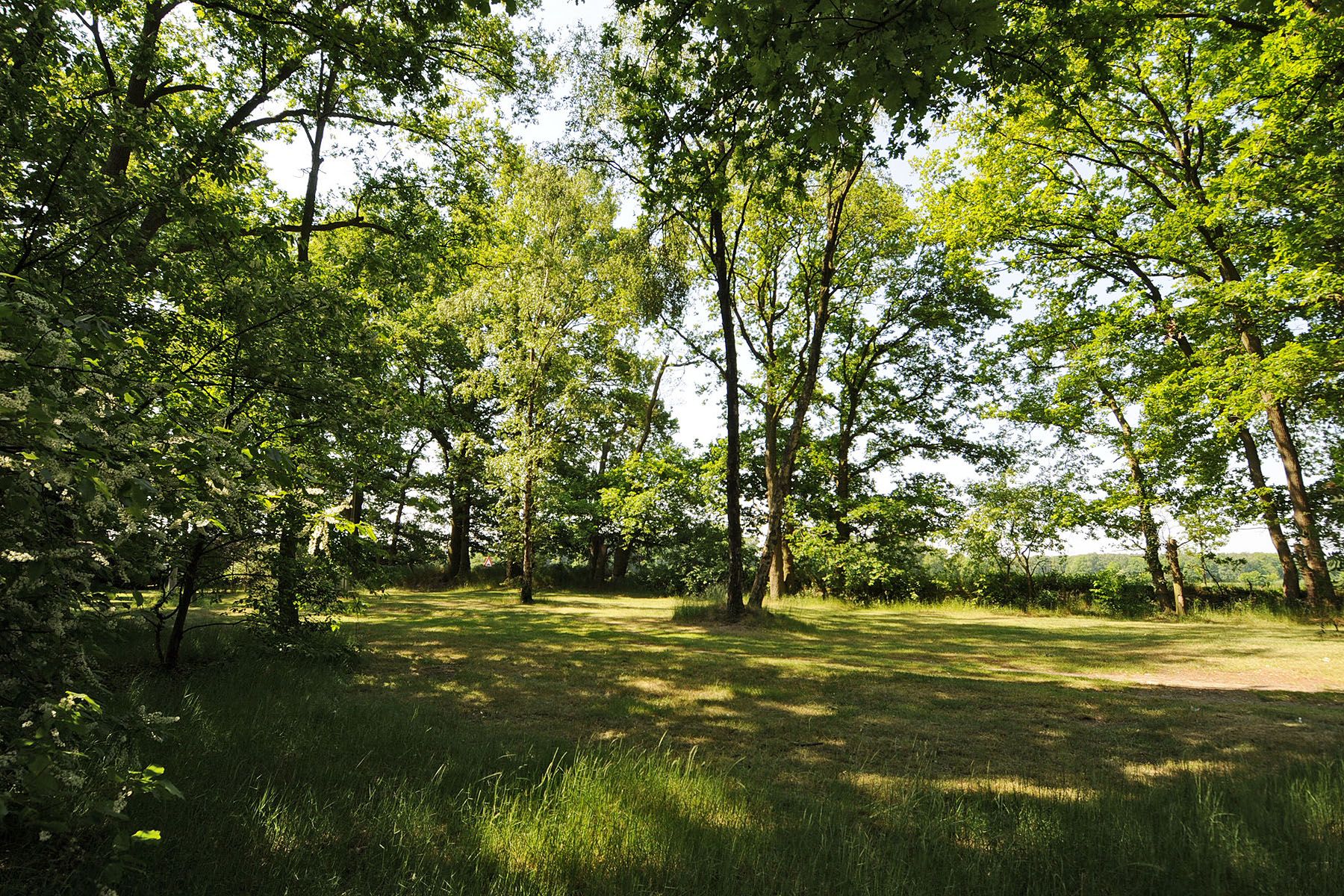 Foto 3 van Op den Berg 4