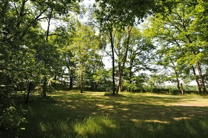 Foto 3 van Op den Berg 4