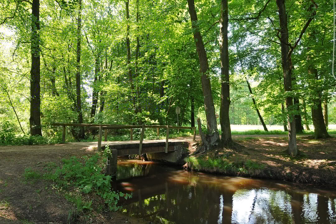 Foto 8 van Op den Berg 4