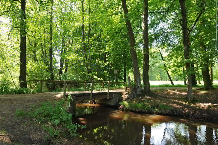 Foto 8 van Op den Berg 4