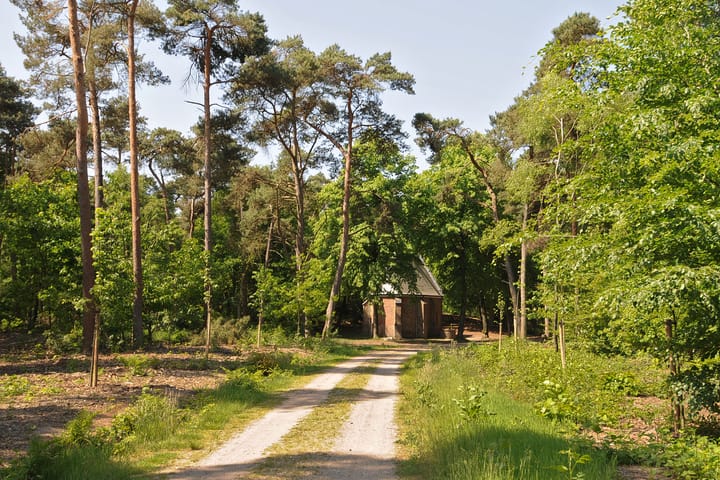 Foto 9 van Op den Berg 4