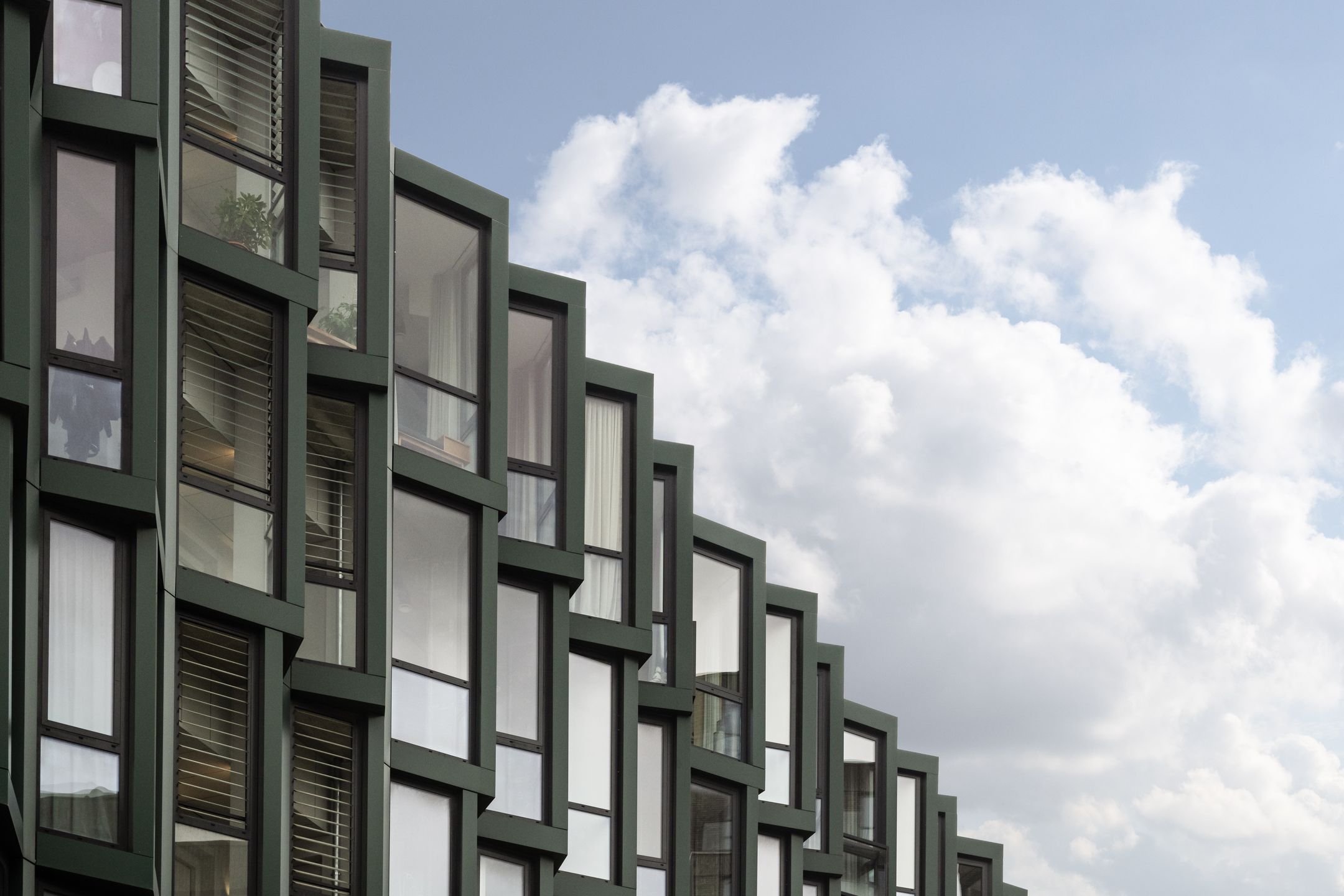 Photo 36 of Surinamepad 208