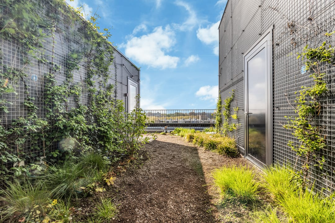 Photo 37 of Surinamepad 208