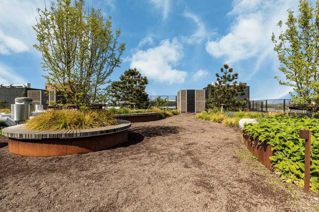 Photo 38 of Surinamepad 208