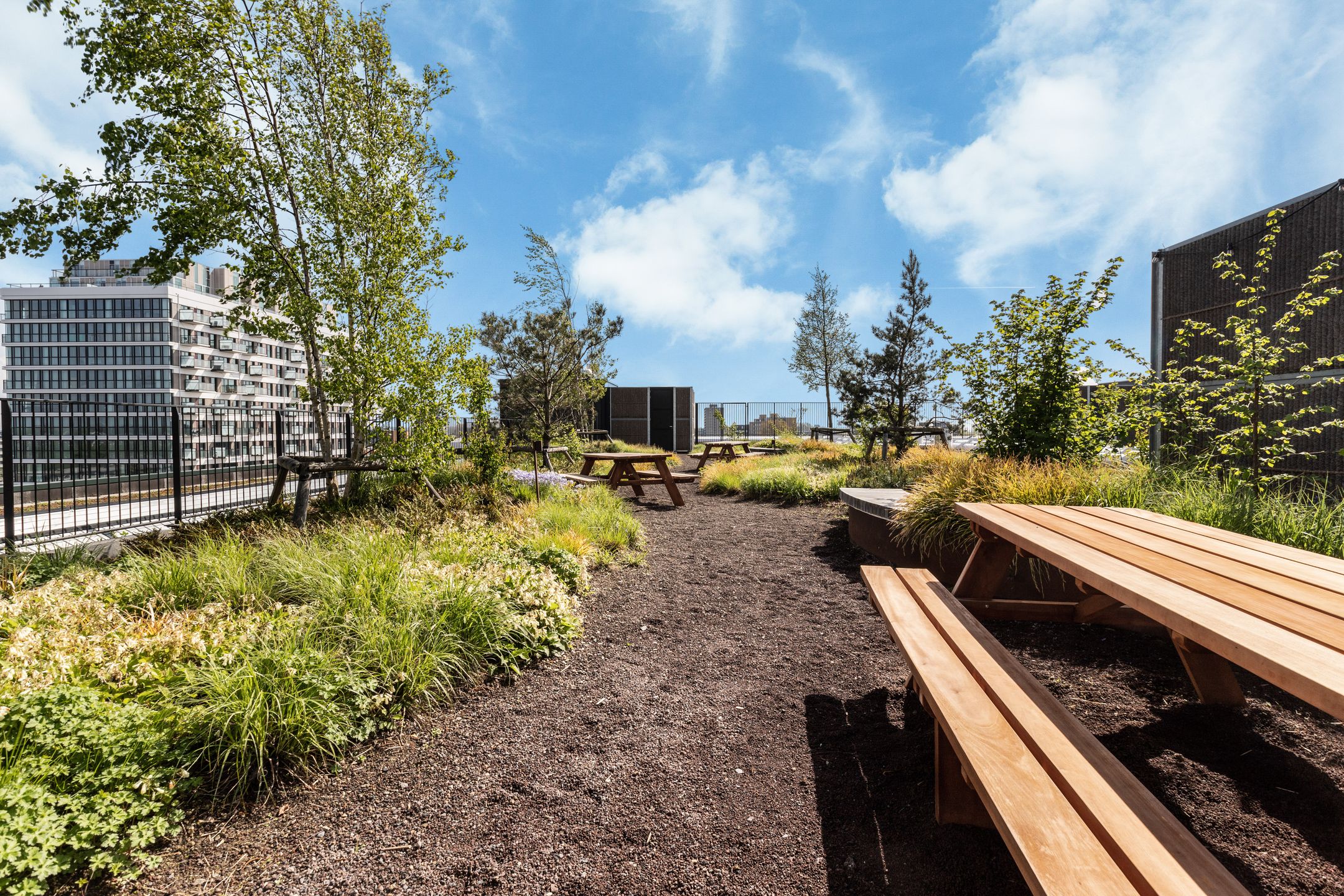 Photo 39 of Surinamepad 208