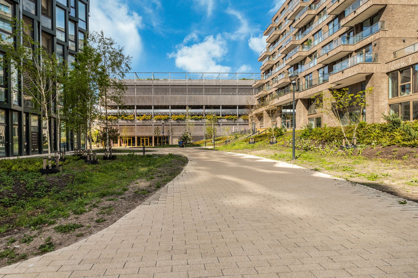 Photo 40 of Surinamepad 208