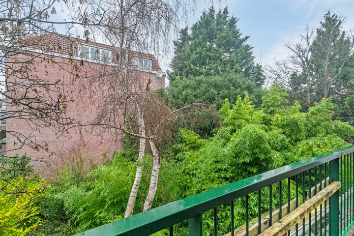 Foto 41 van Boergoensevliet 13