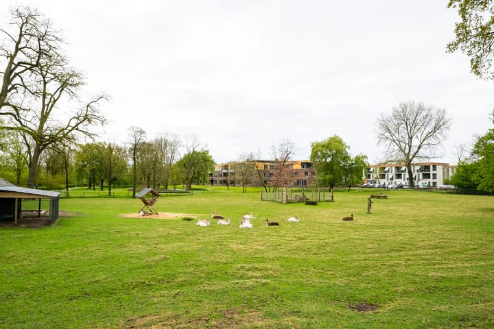 Photo 55 of Ruurloseweg 32