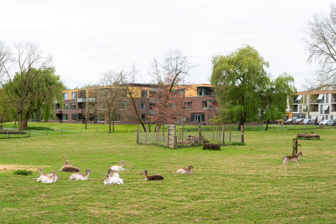 Photo 56 of Ruurloseweg 32