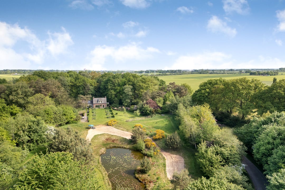 Foto 1 van Sorghvlietweg 10