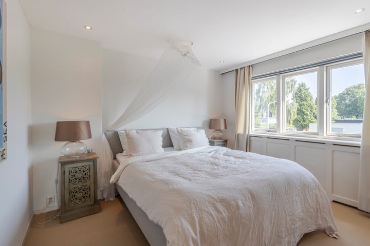 Foto 11 van Scheidingslaan 10