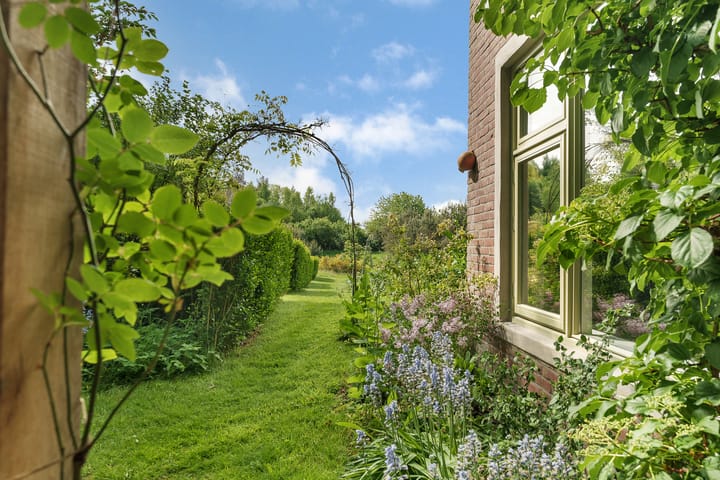 Foto 55 van Sorghvlietweg 10