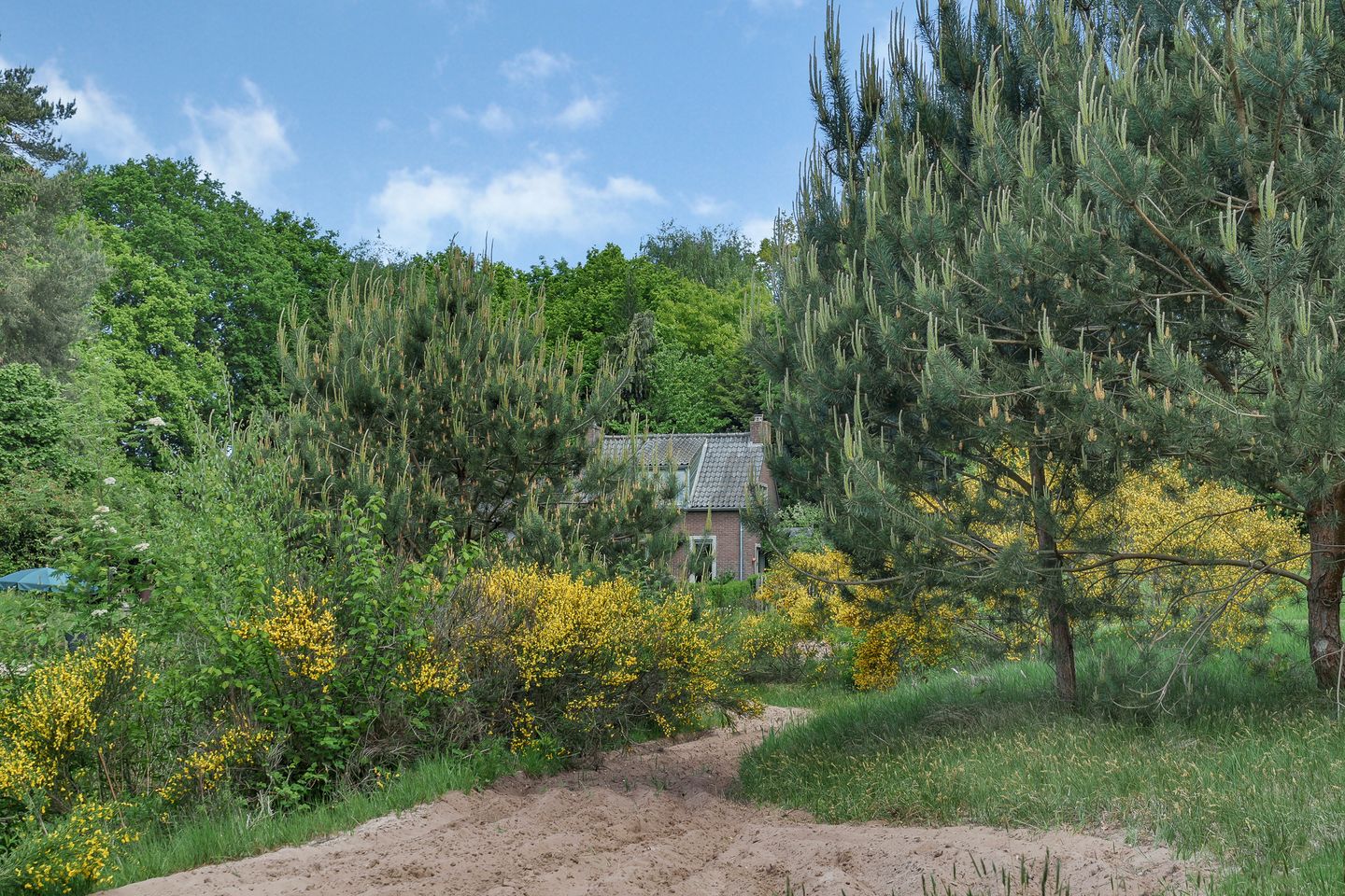 Foto 59 van Sorghvlietweg 10