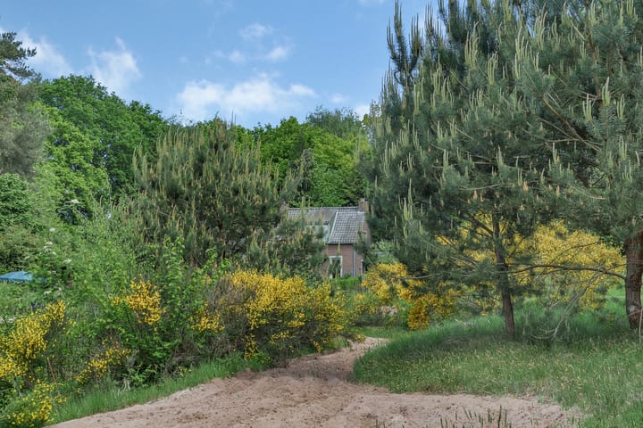 Foto 59 van Sorghvlietweg 10