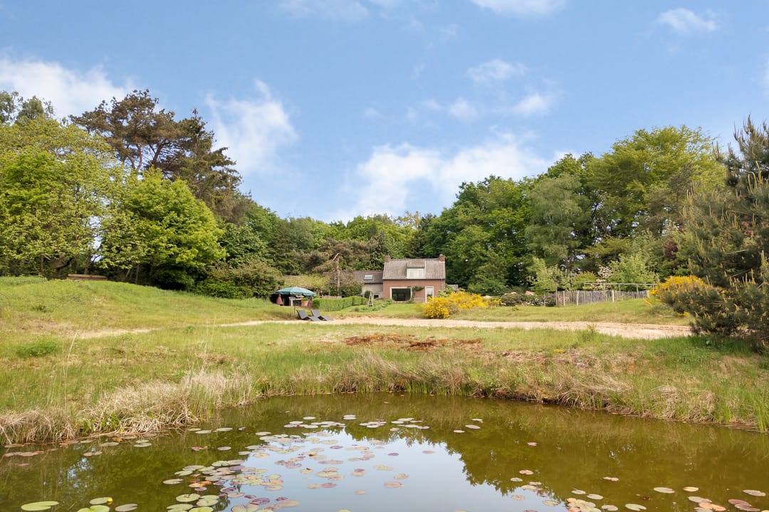 Foto 68 van Sorghvlietweg 10